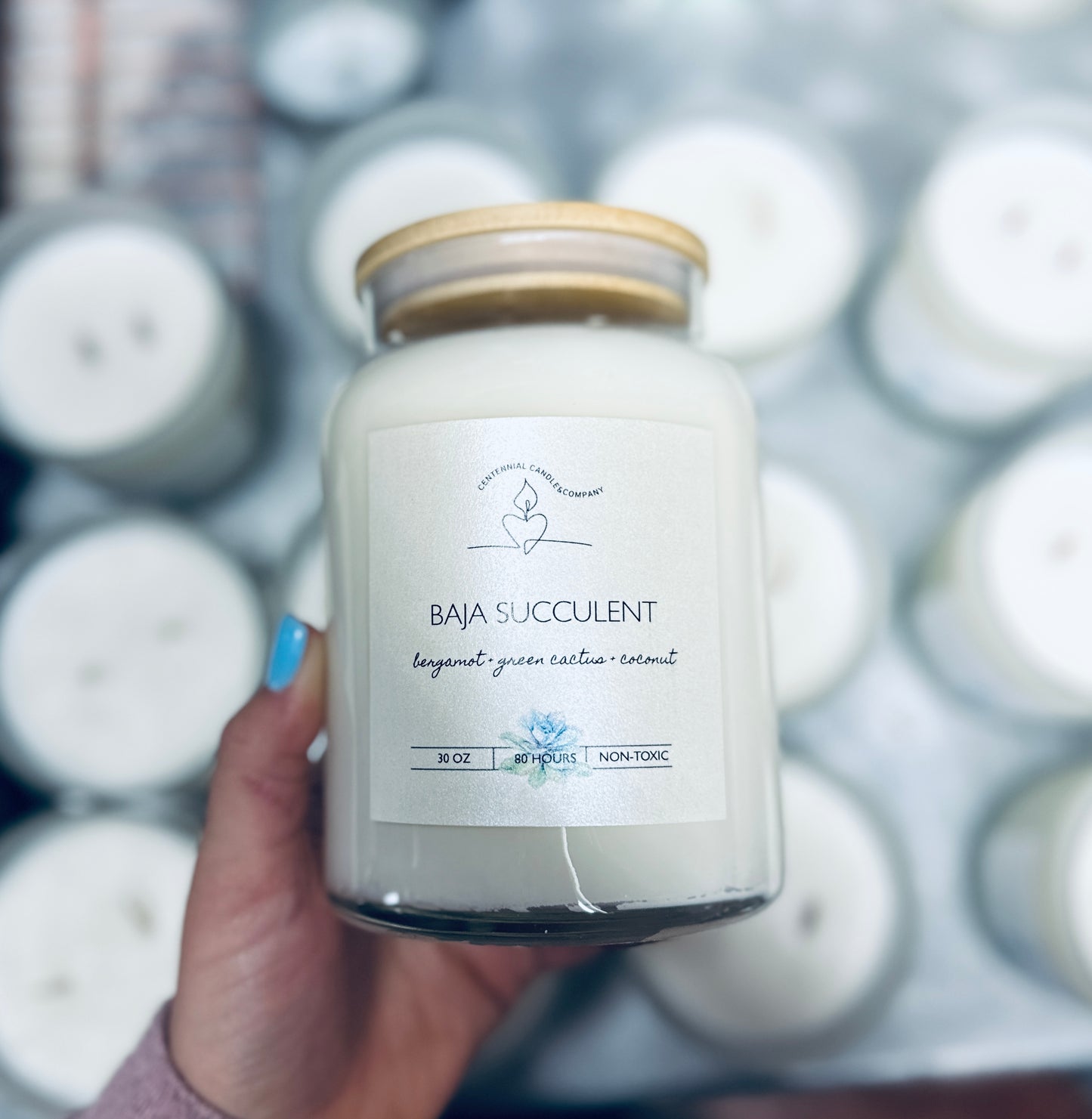 Baja Succulent Soy Candle