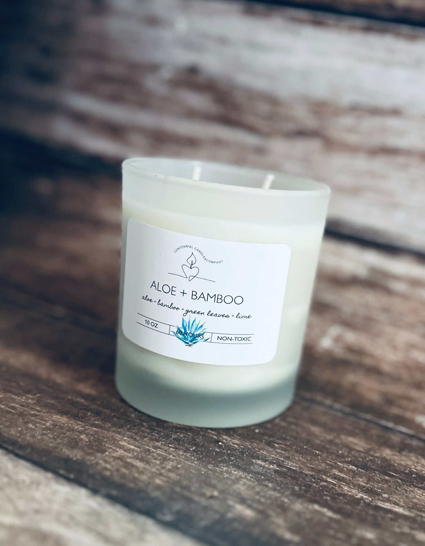 Baja Succulent Soy Candle